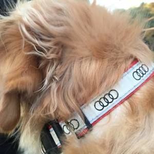 Meet your Posher, Maureen